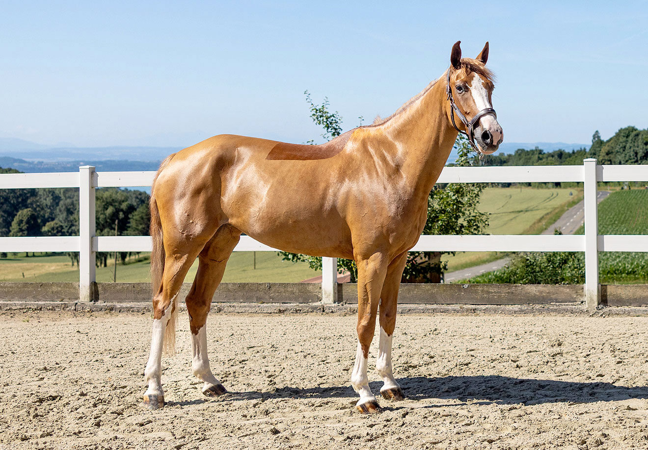 Les Verdets E‑Novision 1D9A1758