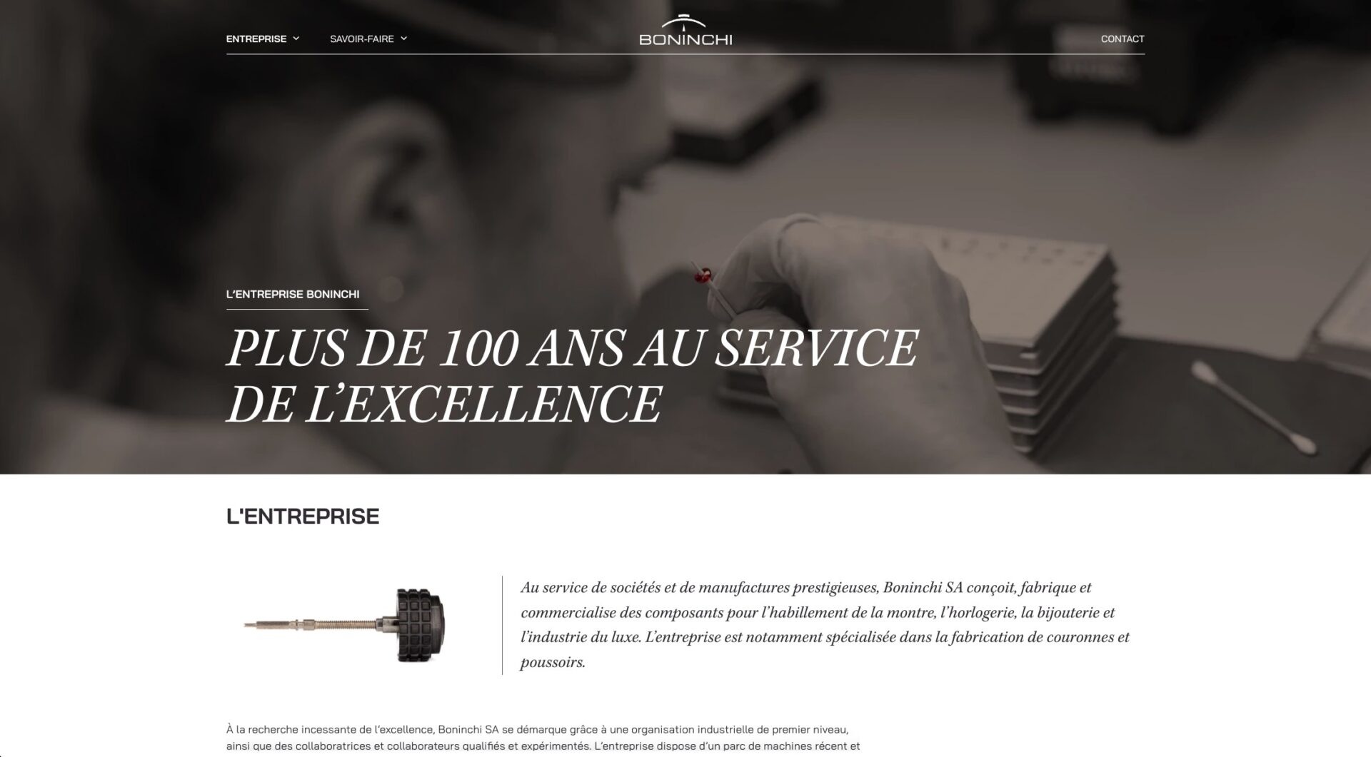 Boninchi Screen Web E‑Novision 3